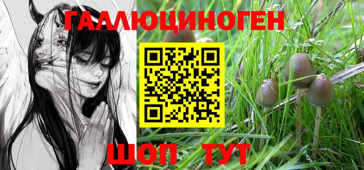 Галлюциногенные грибы Psilocybe  дарнет шоп  Вход с VPN  Нововоронеж  Псилоцибиновые грибы Magic Shrooms 