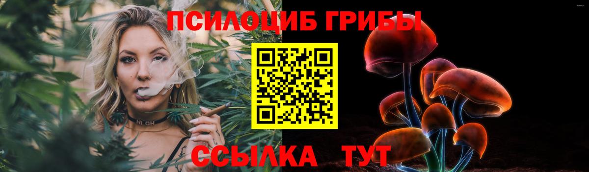 Псилоцибиновые грибы Cubensis Нововоронеж
